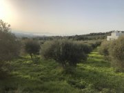 Adelebsen Kreta, Adele: Grundstück mit Meerblick zu verkaufen Grundstück kaufen